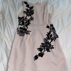 Betsey Johnson Size 8 Blush/ Black Dress